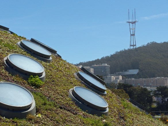 The Port Holes Gather Sunlight On The Living Roof. 