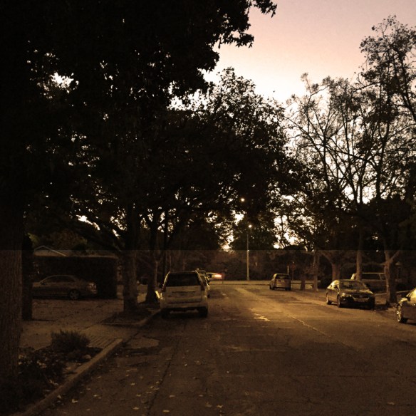 Same photo as above.