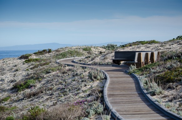 Boardwalk to Viewpoint, Asilomar State Beach, Pacific Grove CA