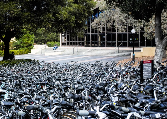 Waiting for the new term to start, Stanford University