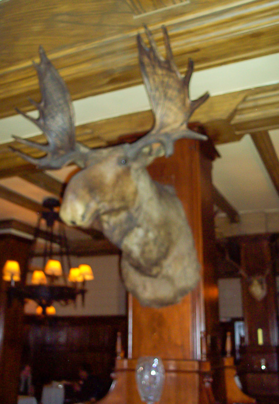 20050419-March 2005 086