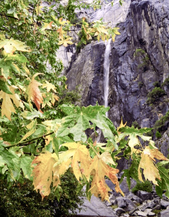 Time-20081031-DSCN0213