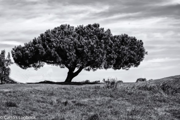 wpc-solitude-20170131-20170131-_dsc1272